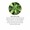 Wild Lettuce Extract-lifestyle-image-4
