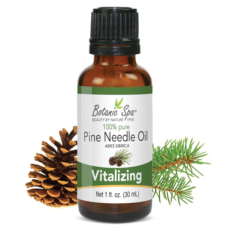 Pine Needle Essential Oil