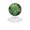 Pine Needle Essential Oil-lifestyle-image-4