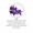 Violet Floral Oil-lifestyle-image-4