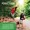 Herbal Total Wellness™-lifestyle-image-7